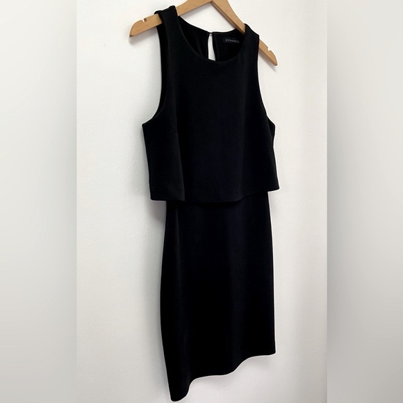 Dynamite Overlay Cocktail Dress 💕 - Picture 3 of 10